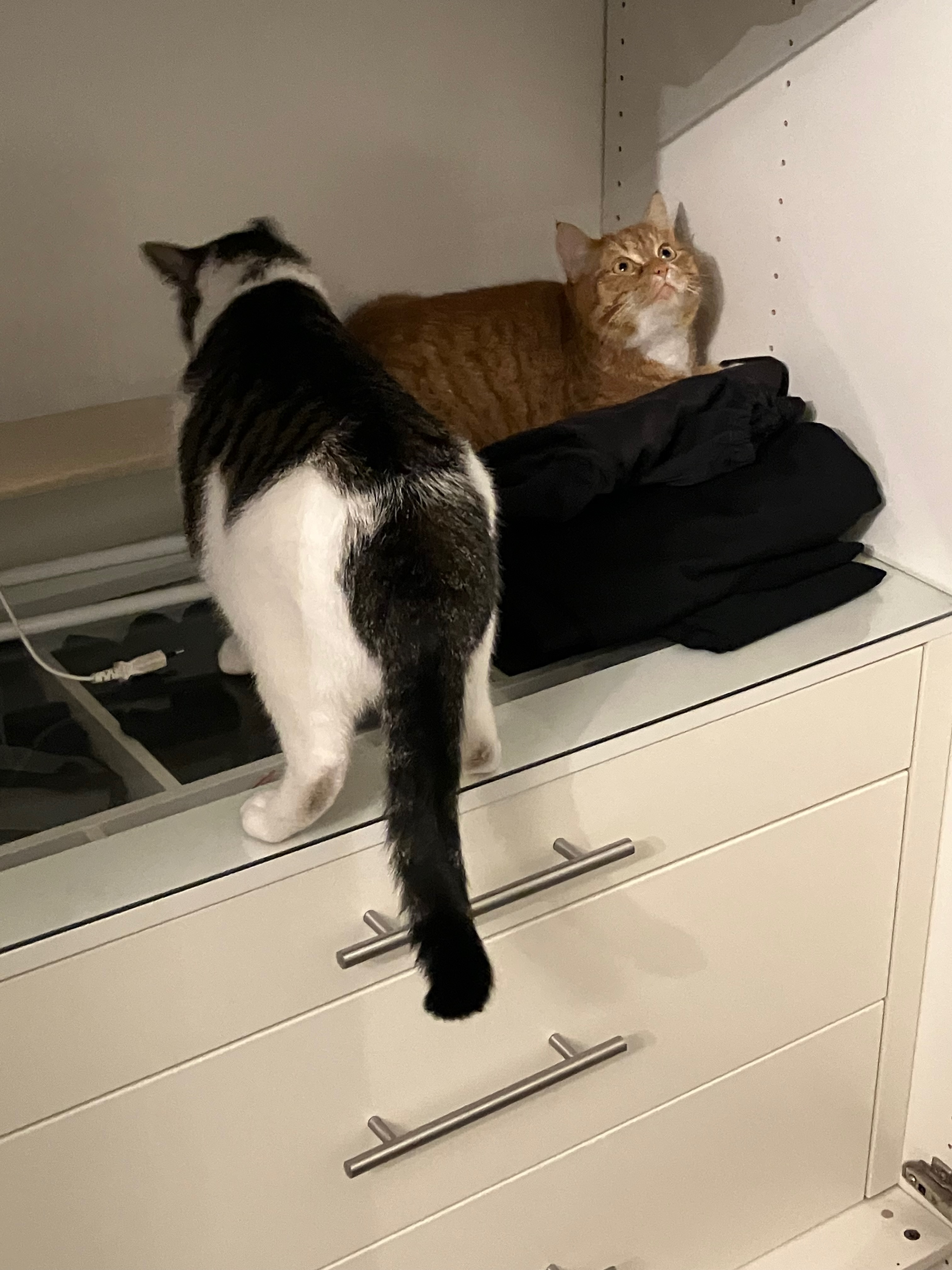 Inspection