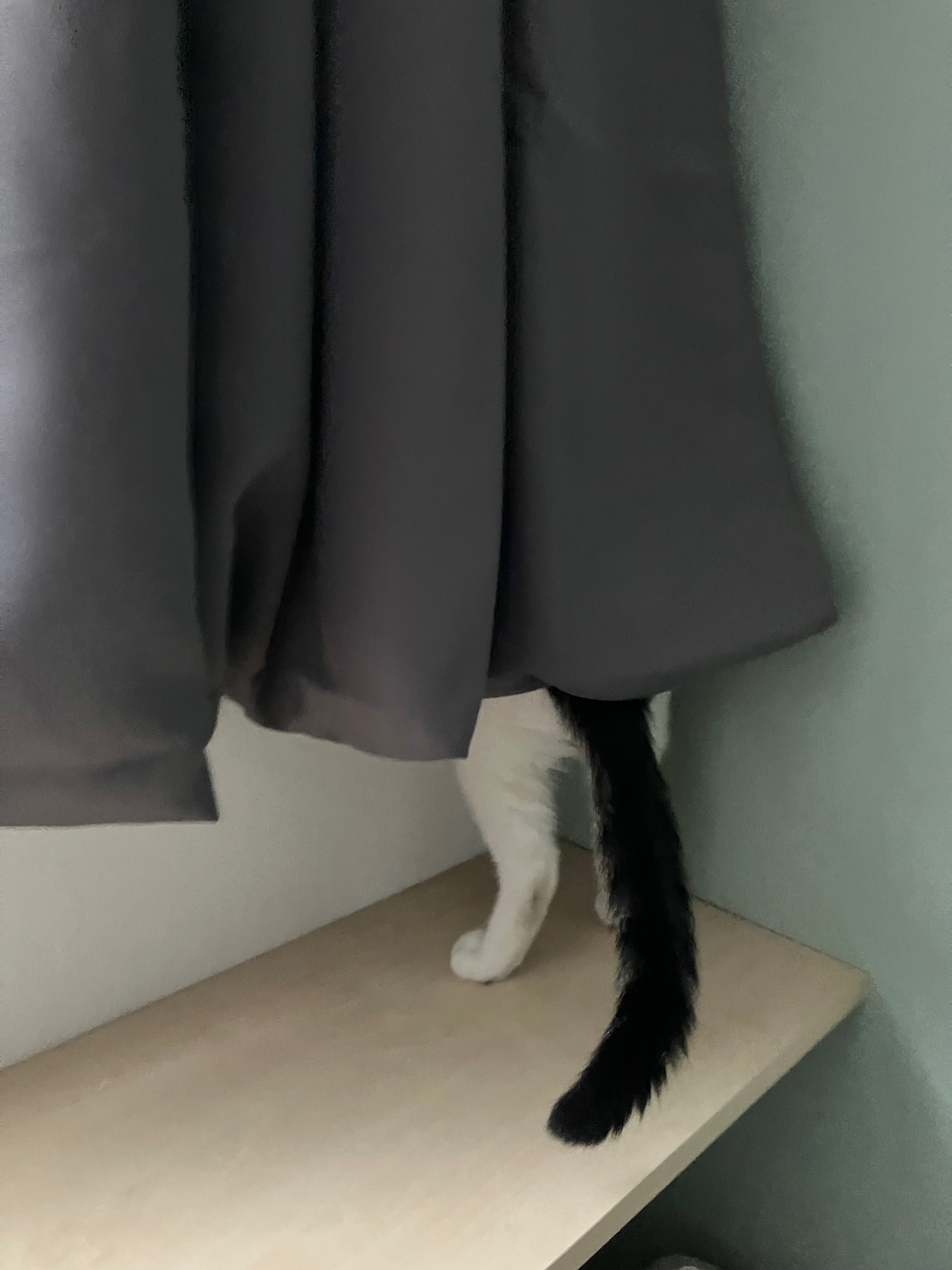Stealthmode aqcuired