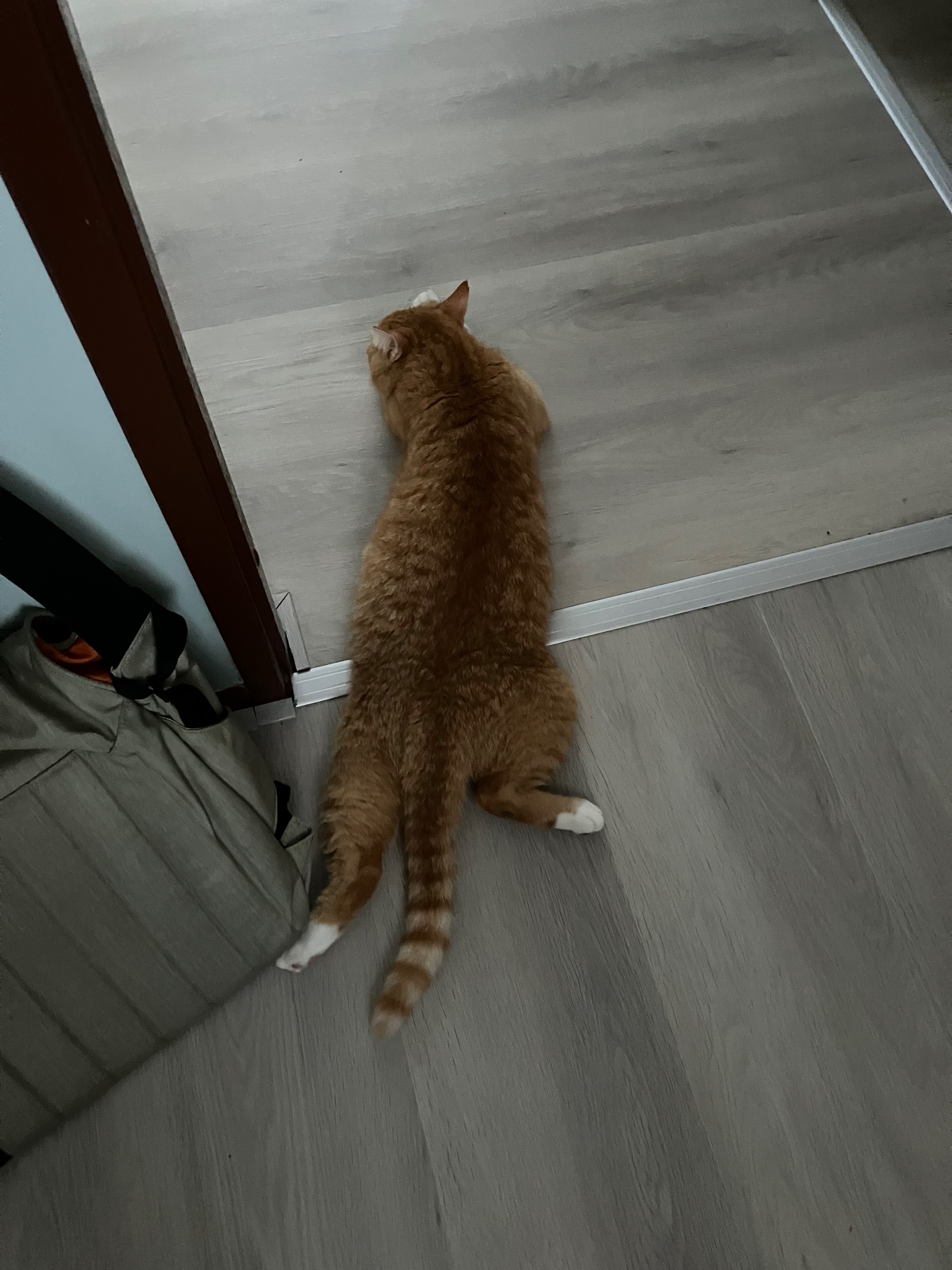 Its soooo hot outside