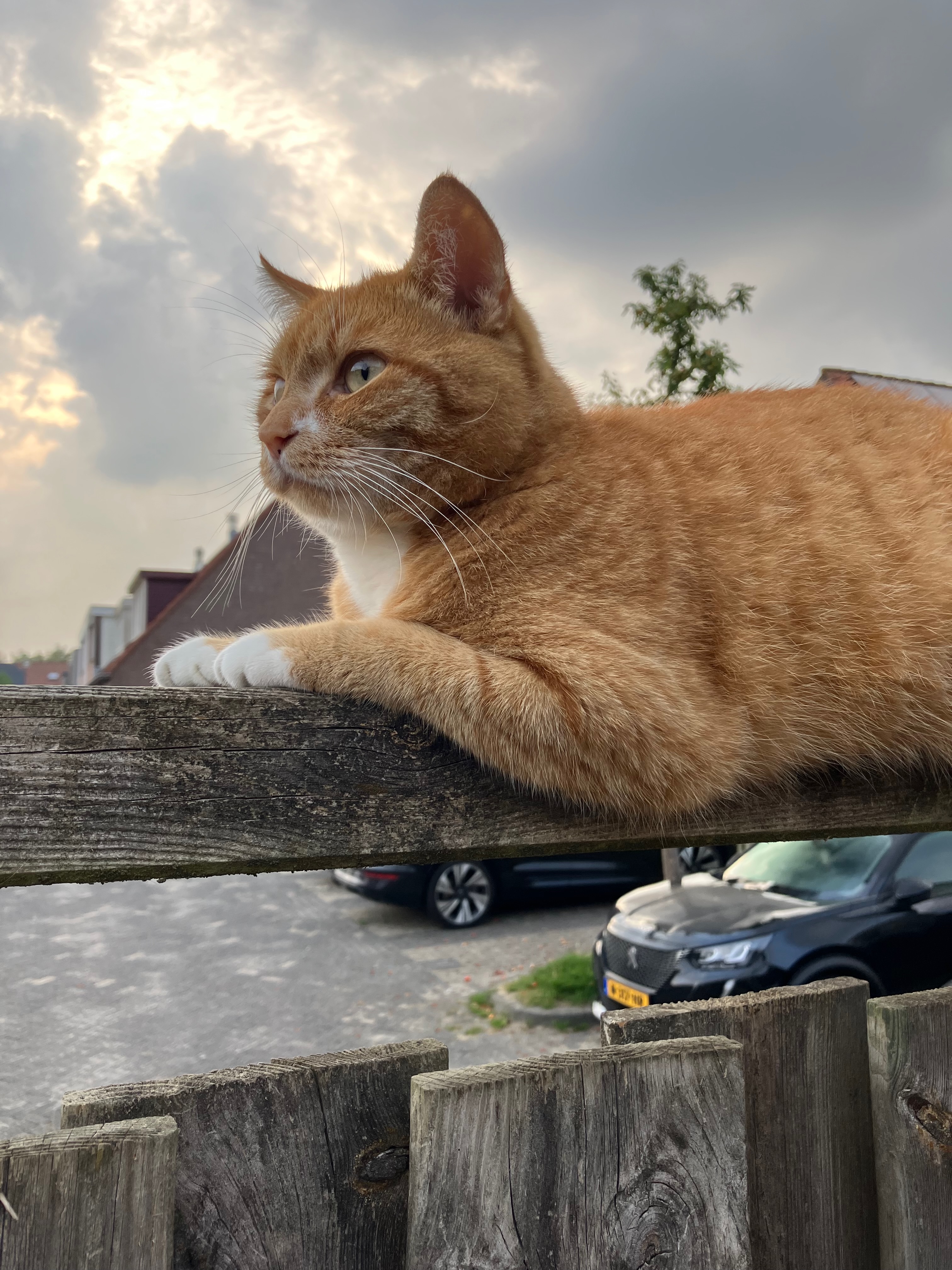 They see me loafin'
